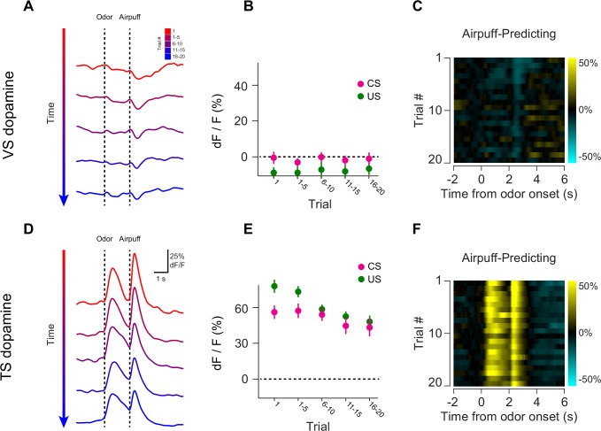 Figure 4—figure supplement 1.