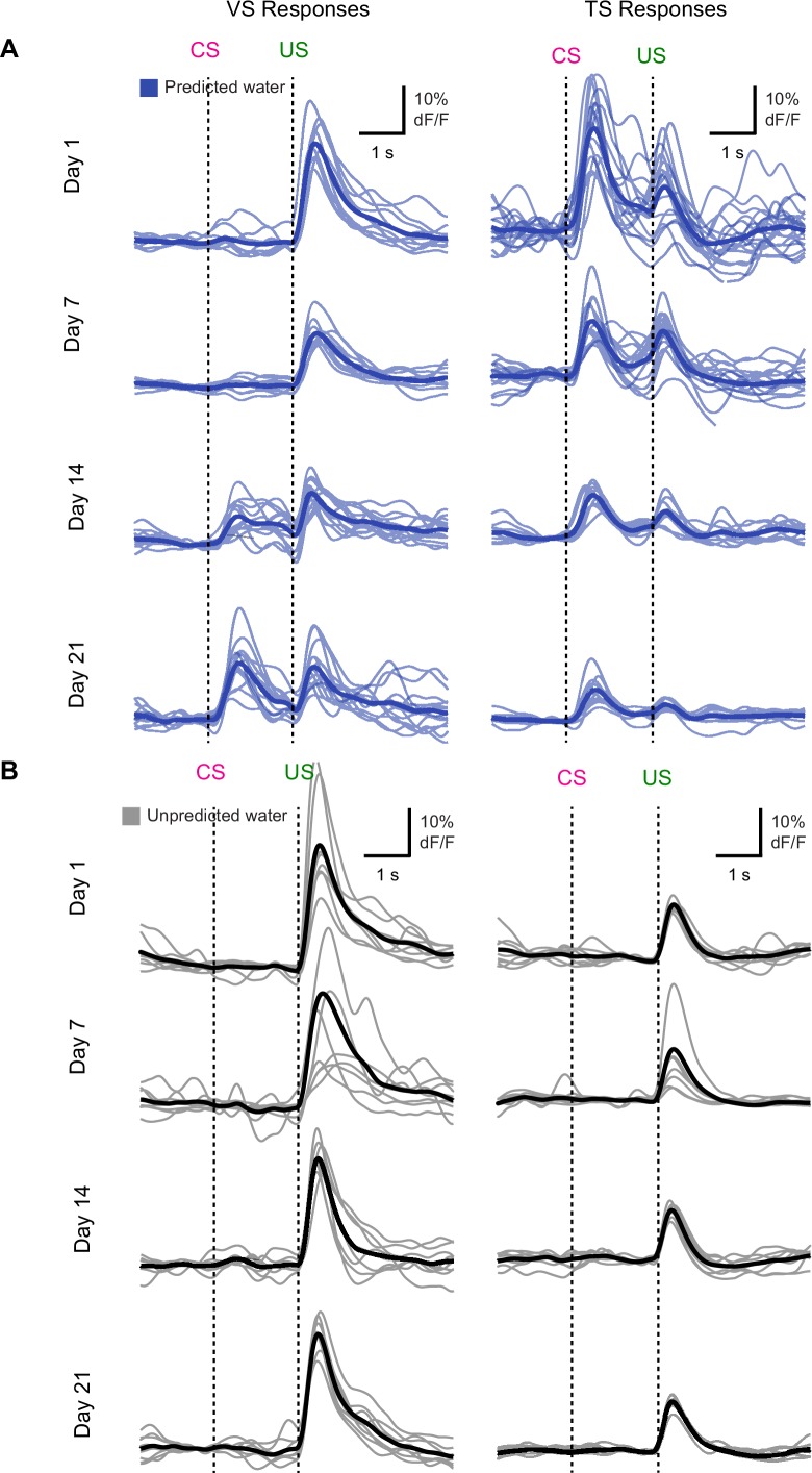 Figure 3—figure supplement 1.