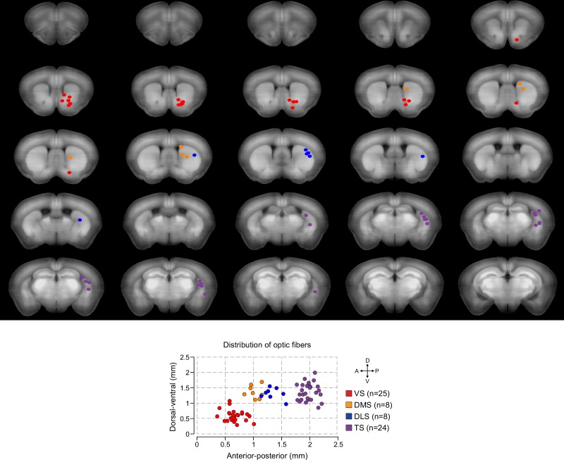 Figure 1—figure supplement 3.