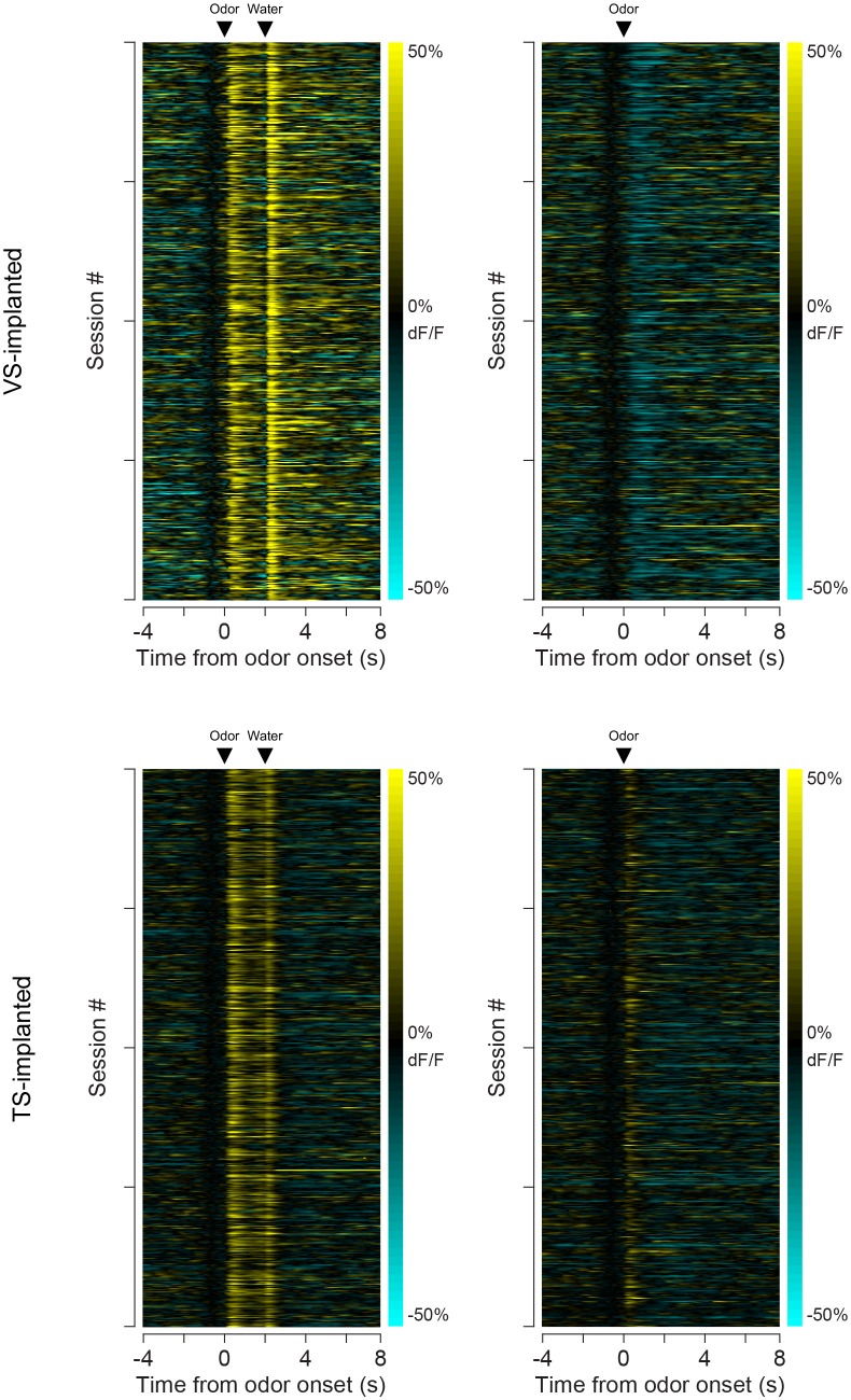 Figure 6—figure supplement 2.