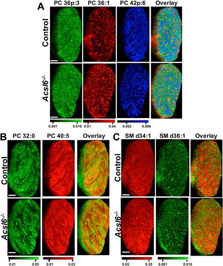 Figure 6.