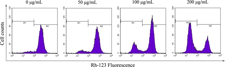 Fig. 6