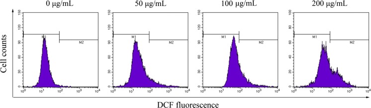 Fig. 7