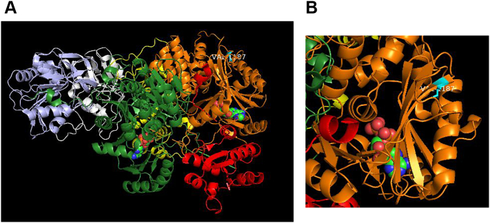 Fig. 4