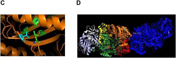 Fig. 4