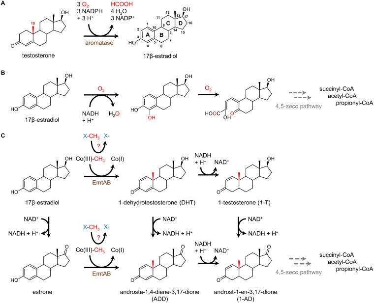 FIG 1