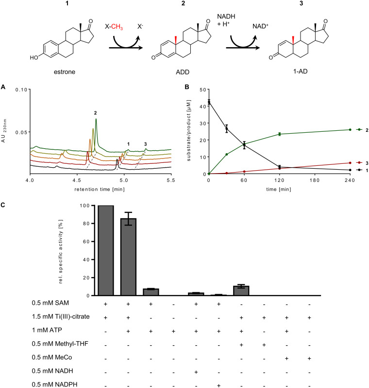 FIG 2