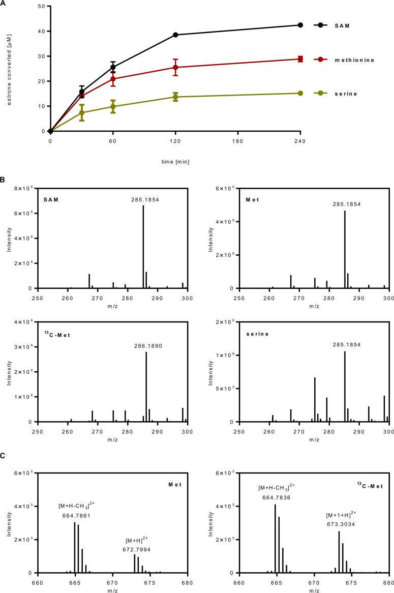 FIG 6