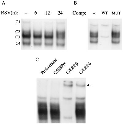 FIG. 10