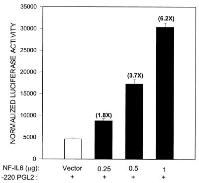 FIG. 12