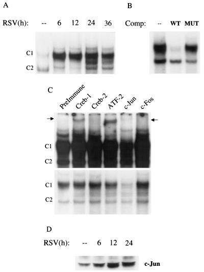 FIG. 5