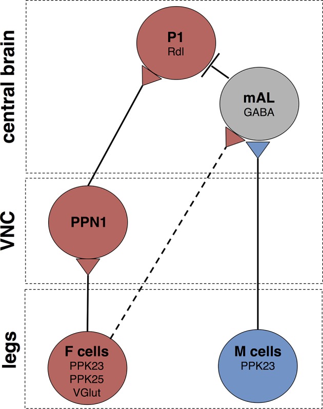 Figure 7.