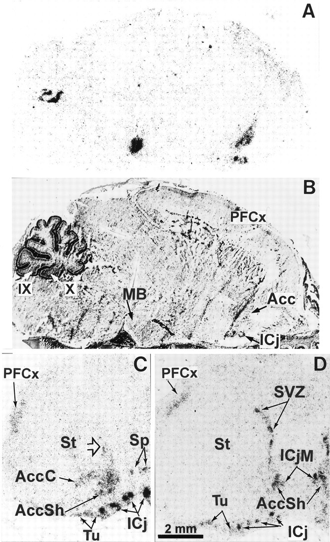 Fig. 8.