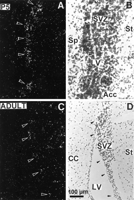 Fig. 9.