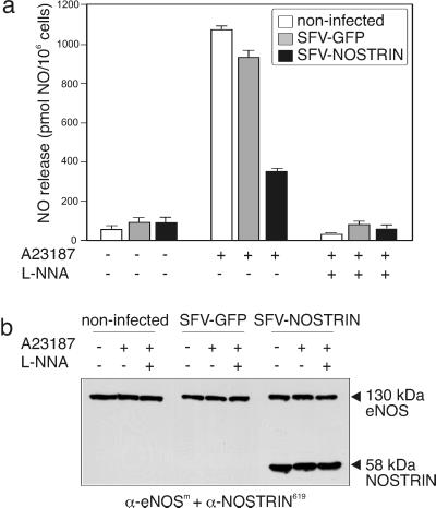 Fig 7.