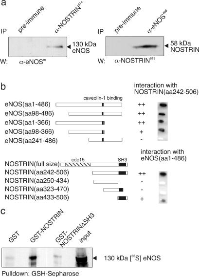 Fig 4.