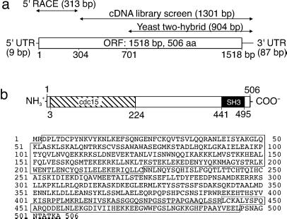 Fig 1.