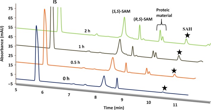 Figure 2