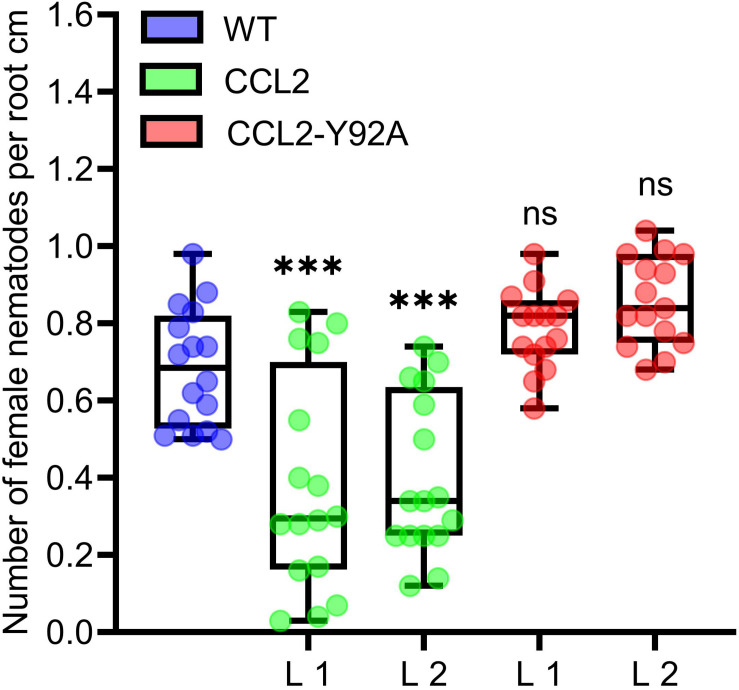 FIGURE 2