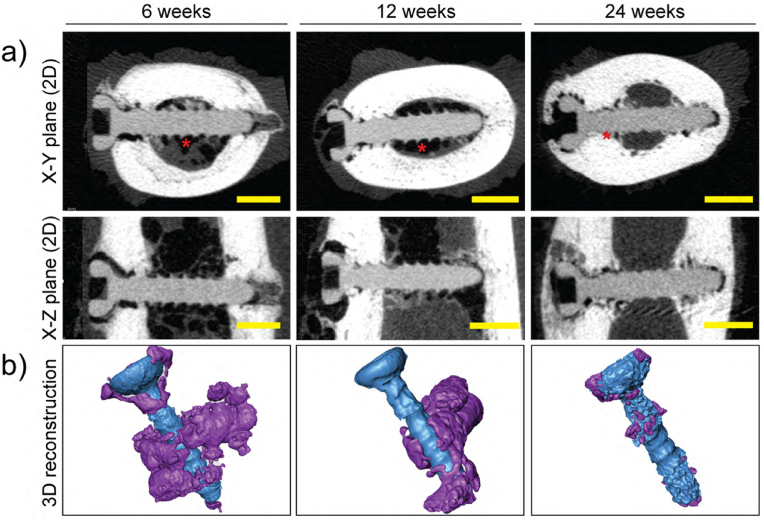 Fig. 11