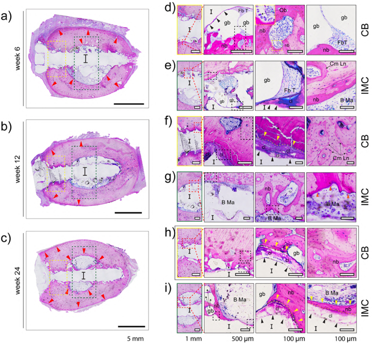 Fig. 12