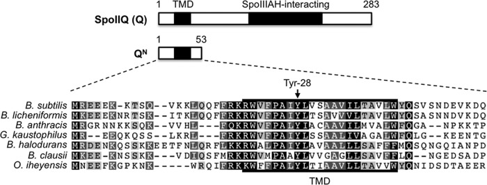 FIG 1