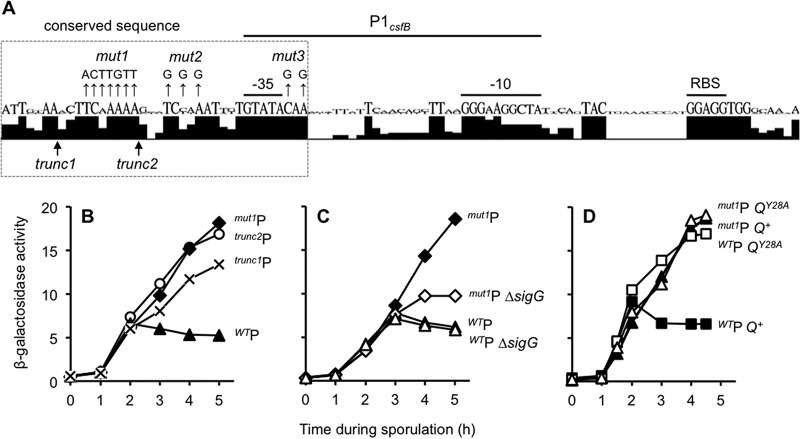 FIG 4