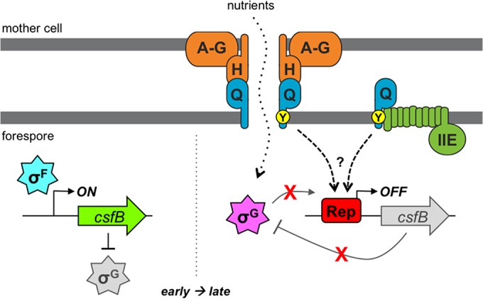 FIG 7