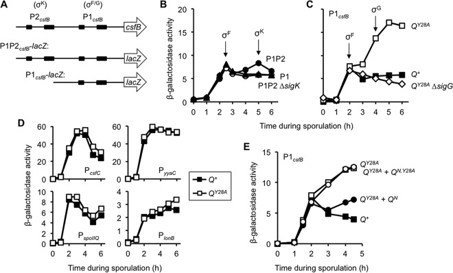 FIG 3