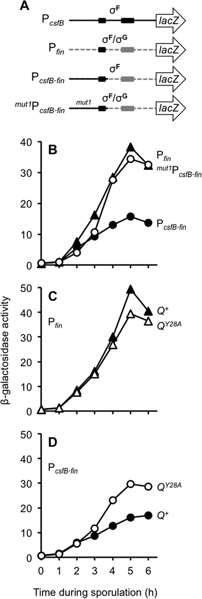 FIG 5