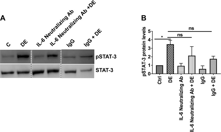 Fig. 10.