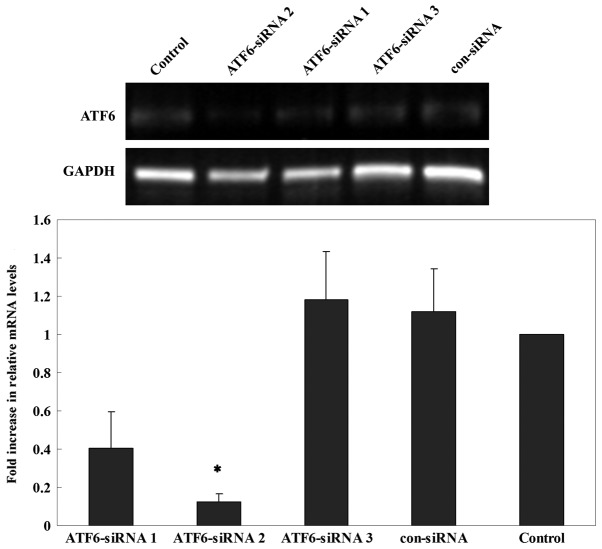 Figure 7.