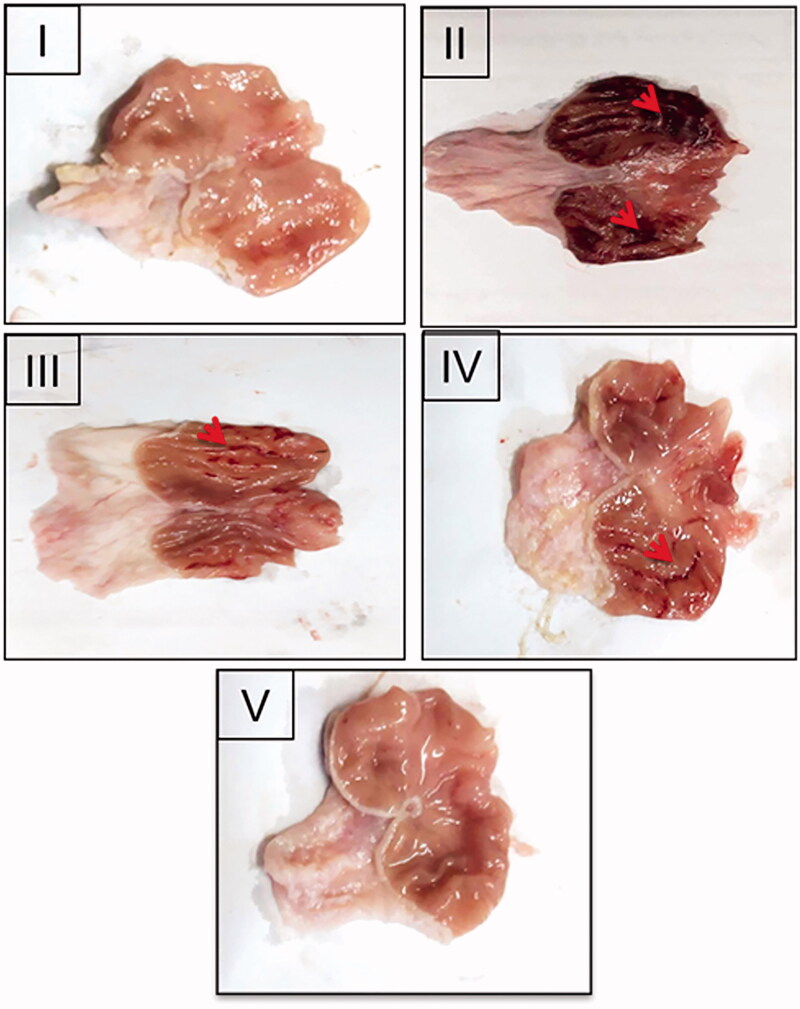 Figure 6.