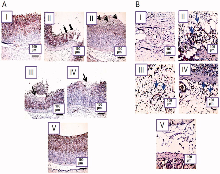 Figure 9.