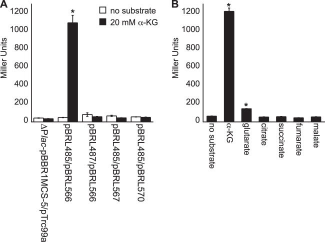 FIG 6