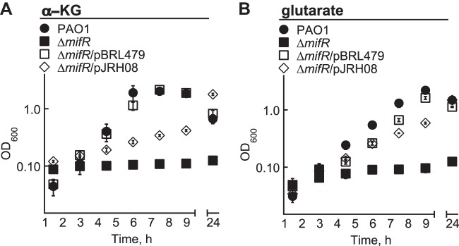 FIG 4