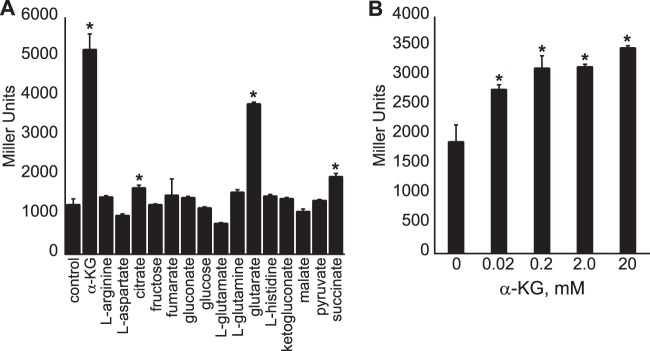 FIG 2