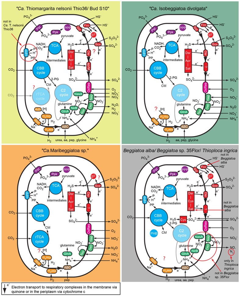 FIGURE 2