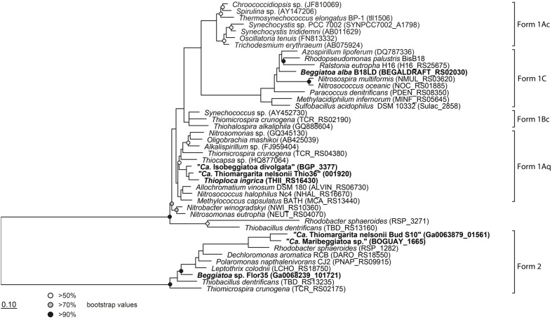 FIGURE 3