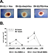 Figure 5.