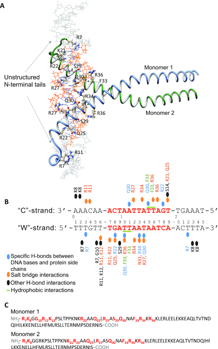 Figure 6.