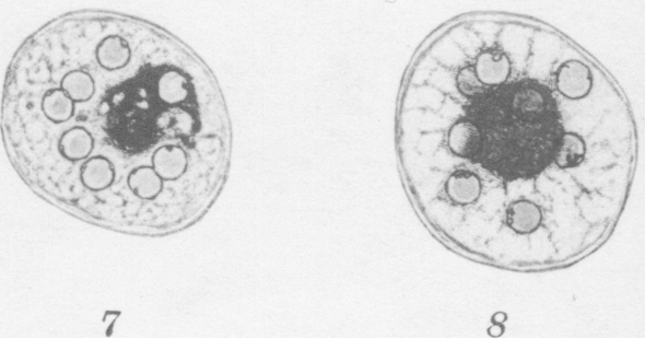 Fig. 7 and 8