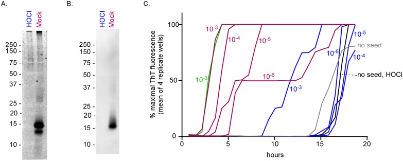 Fig 10