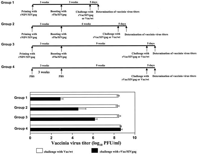 FIG. 7.