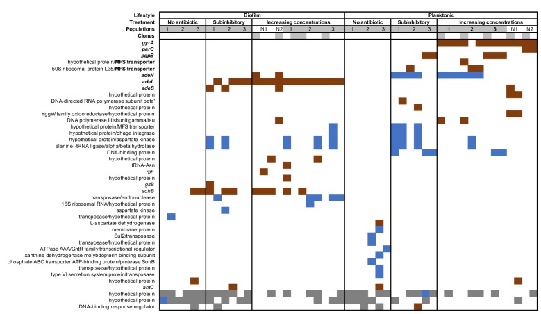 Figure 2—figure supplement 2.