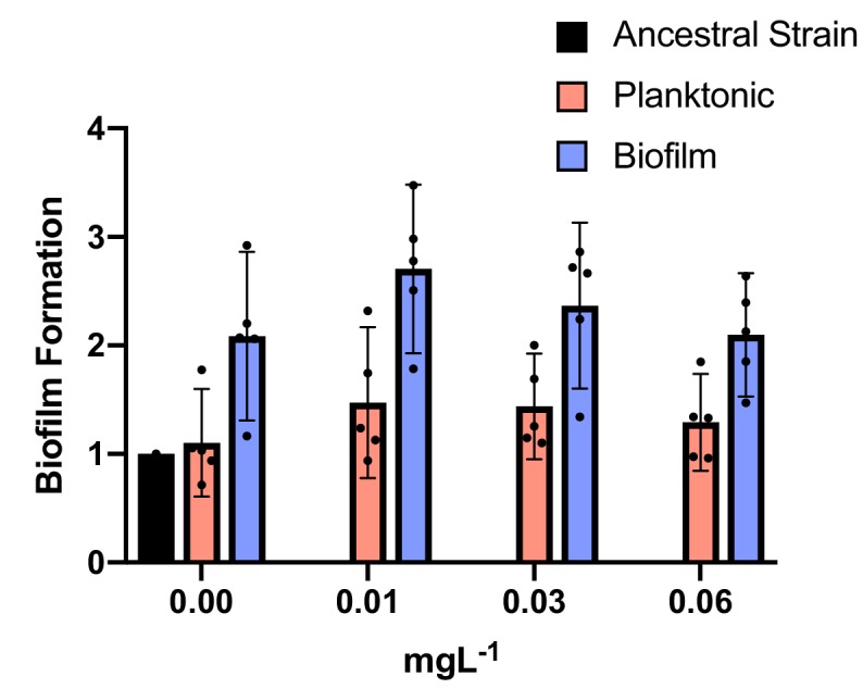 Figure 2—figure supplement 3.