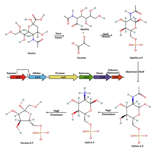 Figure 5