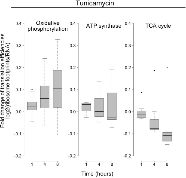 Figure 5—figure supplement 1.