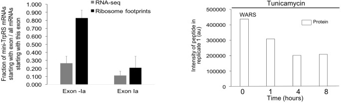 Figure 6—figure supplement 2.