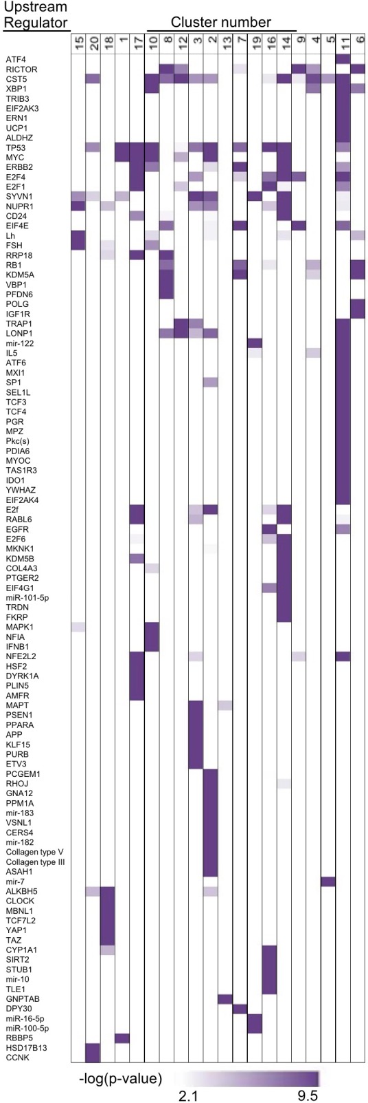 Figure 3—figure supplement 4.